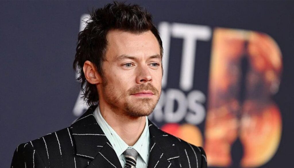 Harry Styles receives public apology from fan after unfriendly confrontation