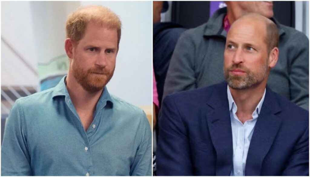 Prince Harry threatens Prince William, George's future